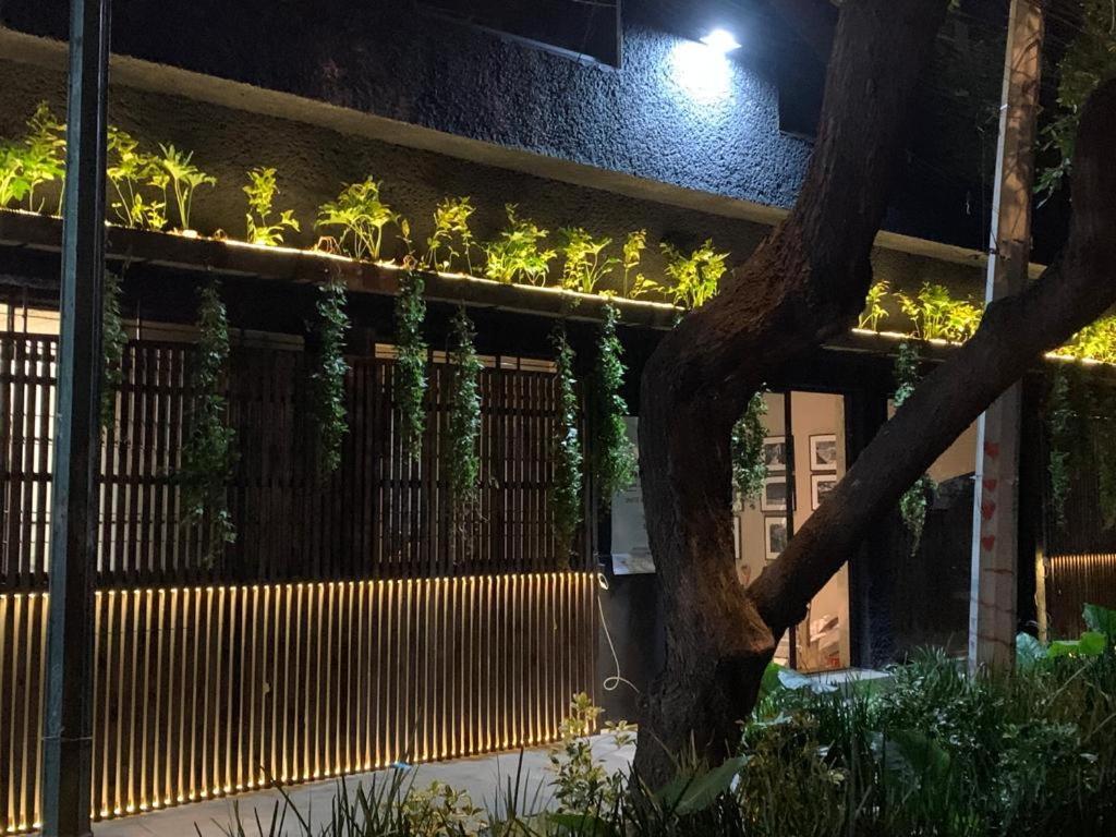 Frontera 49 Roma Norte Hostal مدينة مكسيكو المظهر الخارجي الصورة