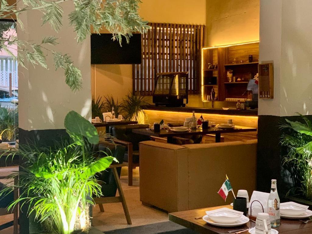 Frontera 49 Roma Norte Hostal مدينة مكسيكو المظهر الخارجي الصورة
