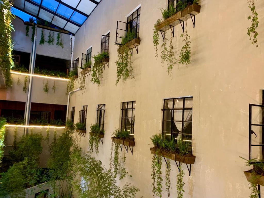 Frontera 49 Roma Norte Hostal مدينة مكسيكو المظهر الخارجي الصورة