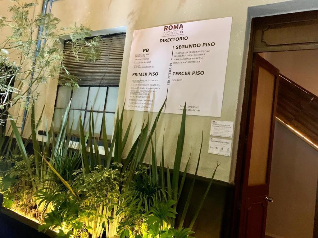 Frontera 49 Roma Norte Hostal مدينة مكسيكو المظهر الخارجي الصورة