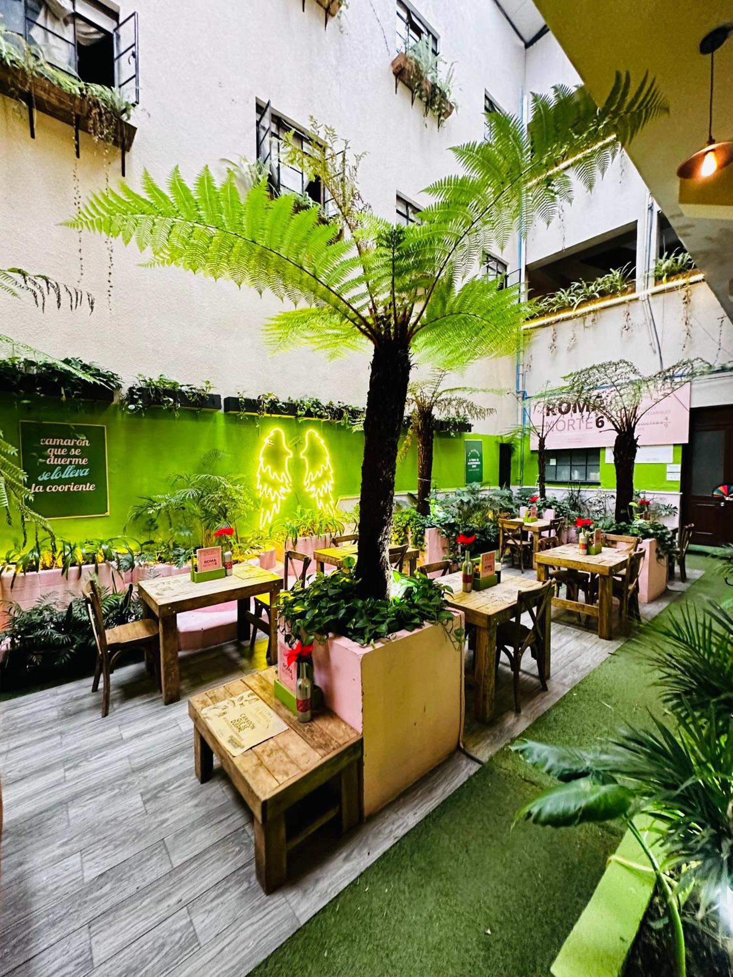 Frontera 49 Roma Norte Hostal مدينة مكسيكو المظهر الخارجي الصورة