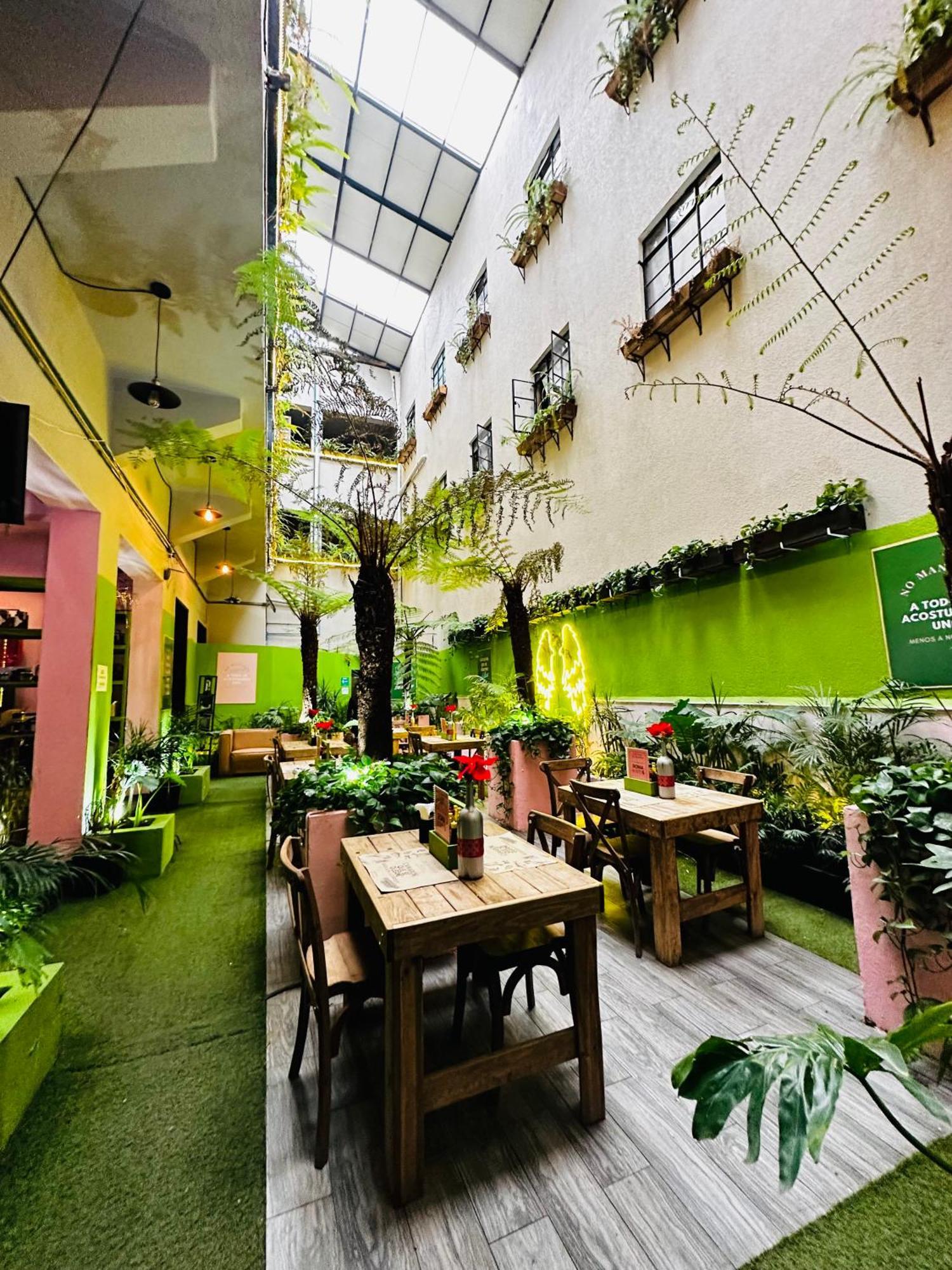 Frontera 49 Roma Norte Hostal مدينة مكسيكو المظهر الخارجي الصورة