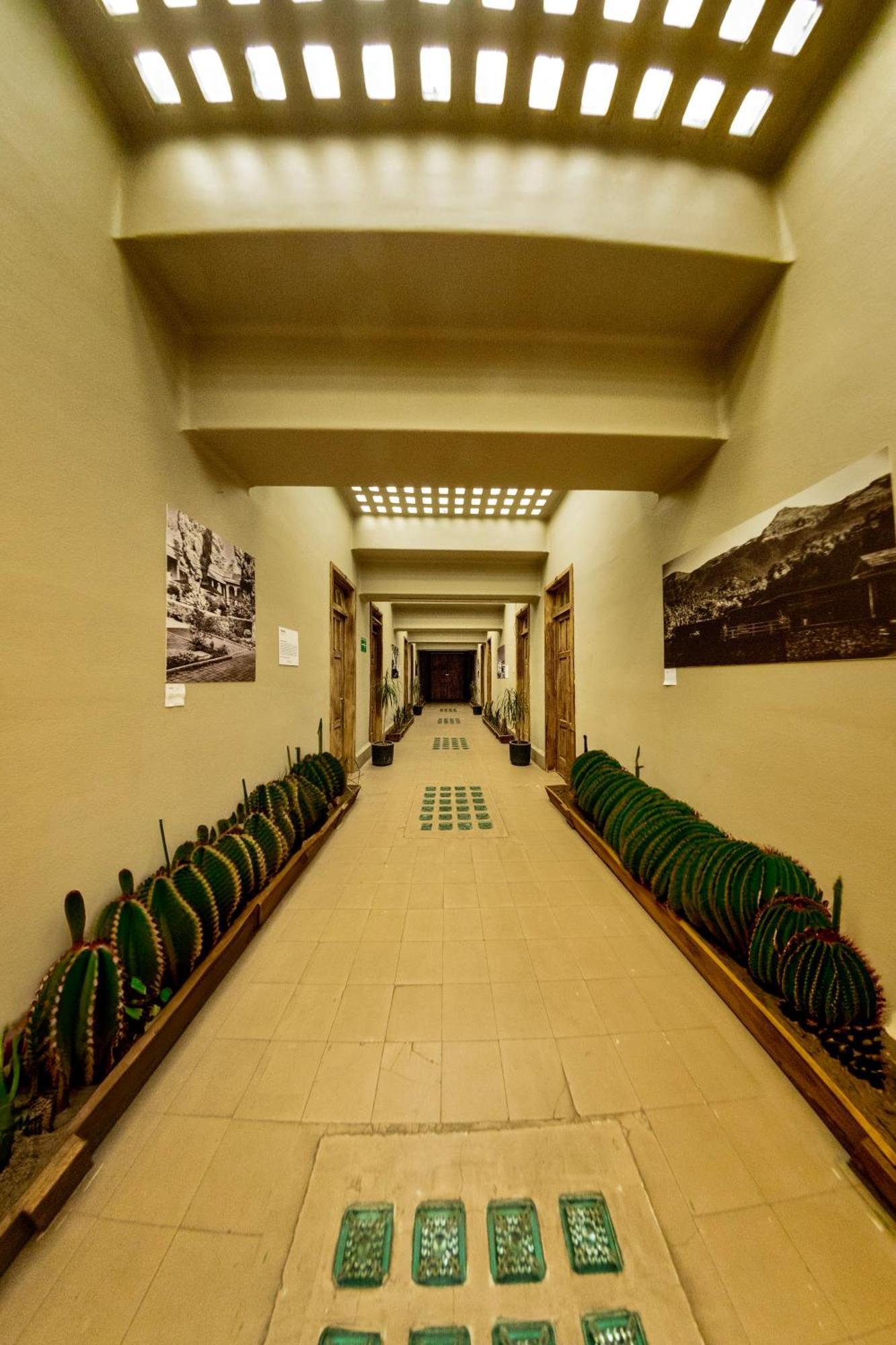 Frontera 49 Roma Norte Hostal مدينة مكسيكو المظهر الخارجي الصورة
